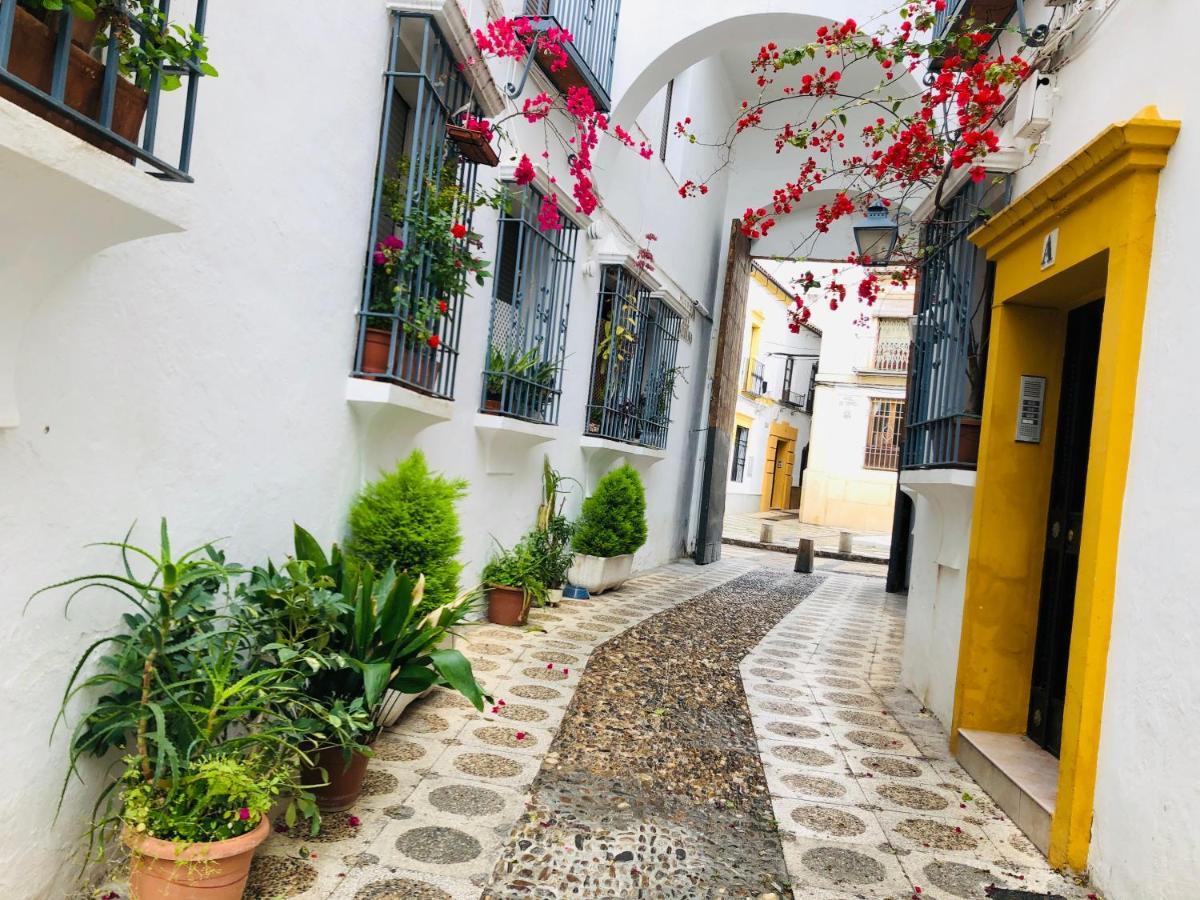 Vallaindiano Kordoba Bagian luar foto